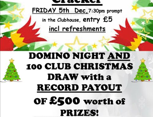 Christmas Dominoes Night