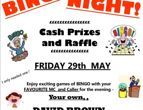 Fun Bingo Night